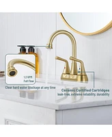 Two Handle Bathroom Faucet with Drain Assembly 4-Inch Centerset Sink 3 Hole Lavatory Vanity Faucets Pop-up Drain, Bru