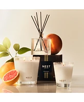 Nest New York Grapefruit Classic Candle, 8.1 oz.
