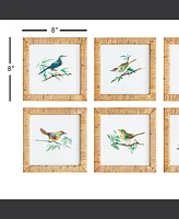 Songbird Petite Prints St/6