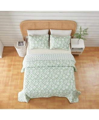Linery Co. Green Seashell Microfiber Quilt Set With Shams