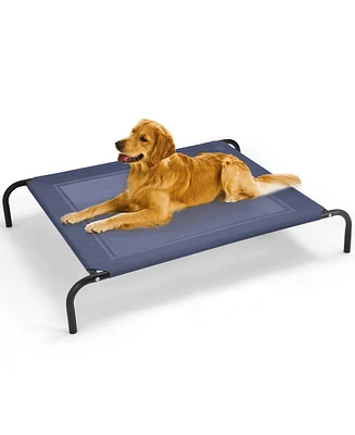 Elevated Pet Bed for Medium Large Dogs