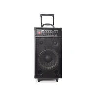 SereneLife Portable Bluetooth Pa Speaker with Wireless Mic & Rechargeable Battery, 800W