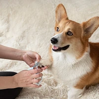 Ocean Plastic by Pt Blue Pet Nail Clipper, Eco-Friendly Grooming Tool for Dogs and Cats