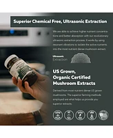 MycoMax Lion's Mane Extract Capsules