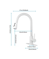 Kitchen Faucet with Pull Out Spraye