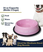 I Love You So Much Elevated Modern Dog Feeder with Stainless Steel Bowls – Pink/24oz