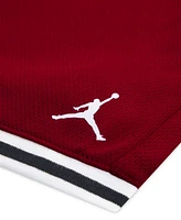 Jordan Little Boys 2-Piece Logo Mesh T-Shirt and Shorts Set
