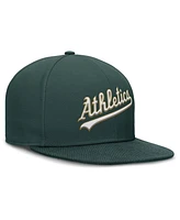Nike Men's Green Athletics True Performance Fitted Hat