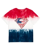 Justice League Toddler Boys Dc Comics July 4th Matching Family T-Shirt to Adult
