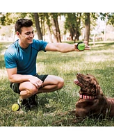 Precious Tails 2-Pack High-Bounce Pet Tennis Balls with Woof and Bounce Print