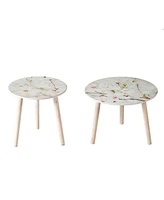 Set of 2 Side Tables for Stylish and Functional Home Decor