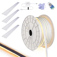 DELight 100FT Warm White Led Strip Neon Rope Lights with 10Pcs Clear