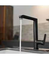 Single Handle Standard Kitchen Faucet in Matte Black