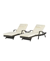 Outdoor Wicker Reclining Lounge Chair Set, Cushioned