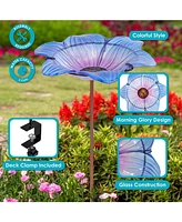 Glass Bird Bath Bowl - 11.5” Diameter - Includes Deck Clamp and Staked Stand - Morning Glory