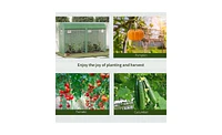 Walk-In Greenhouse for Gardening – Spacious Outdoor Plant Growing Space