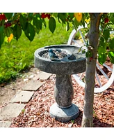 Resin Bird Bath with Feeder Compartment - Traditional Pedestal Bird Bath - 27" H - Gray