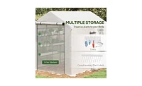 Garden Greenhouse – Reliable Outdoor Structure for Thriving Plants and Vegetables