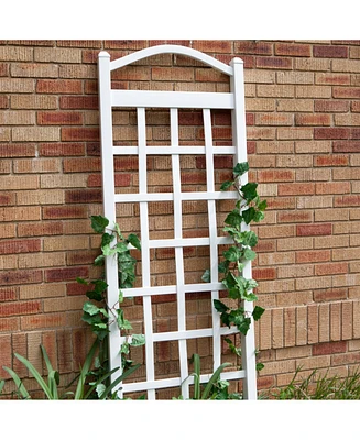 Vinyl Arch Top Garden Trellis with Ground Anchors for Climbing Plants