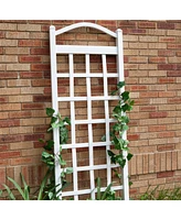 Vinyl Arch Top Garden Trellis with Ground Anchors for Climbing Plants
