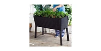 Modern Resin Wicker Raised Garden Bed Planter with Water Indicator
