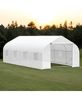 Spacious Greenhouse for Ideal Plant Growth and Year-Round Gardening