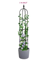Garden Obelisk Trellis for Climbing Plants and Elegant Outdoor Decor