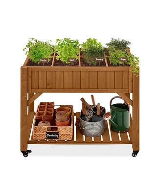 Outdoor Elevated Raised Garden Bed Planter Box with Locking Wheels