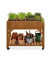 Outdoor Elevated Raised Garden Bed Planter Box with Locking Wheels