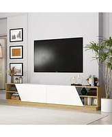 2-door Tv stand, white wood entertainment center, art design media console