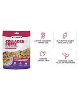 Collagen Puffs: Beef With Lamb Marrow
