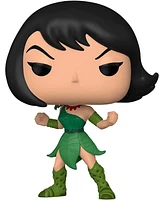 Samurai Jack Funko Pop Vinyl Figure | Ashi