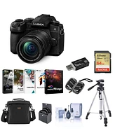 Panasonic Lumix G95 Mirrorless Camera with Lumix G Vario 12-60mm f/3.5-5.6 Mft Lens Bundle with 64GB Sd Card, Shoulder Bag, Corel Pc Software Suite, T