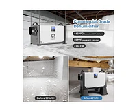 145-Pint 1-Speed Dehumidifier Energy Star (For Rooms 3001+ sq ft)