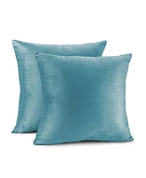 Nestl Elegant Velvet Removeable Cover 2-Pack Decorative Pillows