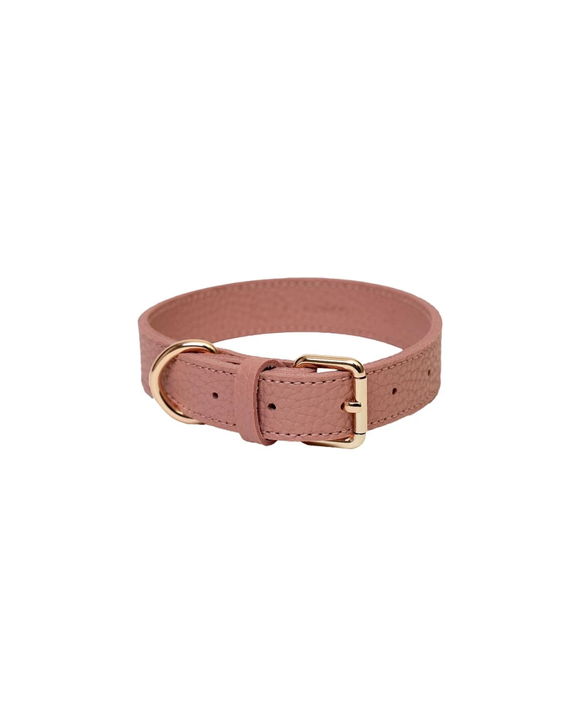Kandog Pu Shrunken Collar