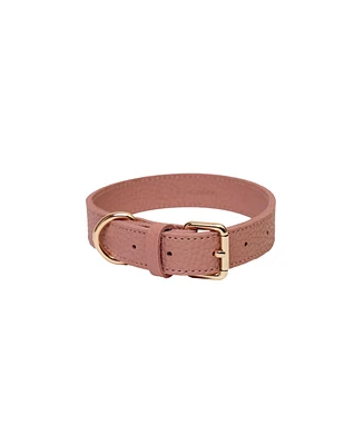 Kandog Pu Shrunken Collar