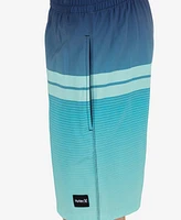 Hurley Men's Cannonball Volley 17 Boardshorts