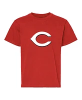 Soft as a Grape Big Boys and Girls Red/Gray Cincinnati Reds T-Shirt, Set of 2