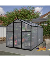 6x10 Polycarbonate Greenhouse Kit with Aluminum Frame and Adjustable Roof Vent
