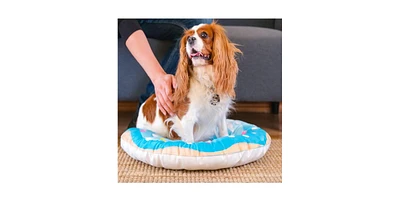Happycare Tex 3D Realistic Donut Print Pets Bed