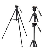Sony Fe 16-35mm f/2.8 Gm Lens for Sony E with Vanguard Alta Pro 264AT Tripod and Tbh-100 Head