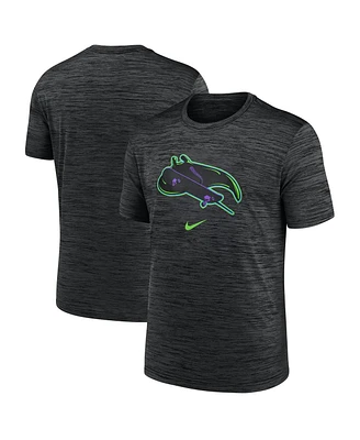 Nike Men's Black Tampa Bay Rays Authentic Collection City Connect Velocity Performance T-Shirt