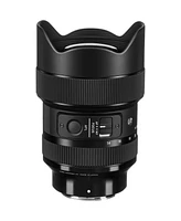 Sigma 14-24mm f/2.8 Dg Dn Art Lens for Sony E, Bundle with Mac Software Kit, RainCoat Rain Sleeve, Cleaning Kit, Flex Lens Shade, Lens Cap Tether, Len