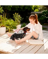 Precious Tails Live. Love. Groom. All-In-1 Dry Shampoo, Waterless Foam Pet Shampoo, Cleans, Conditions, Detangles, Moisturizes, 500ml