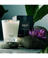 Nest New York Forest Rain Classic Candle, 8.1 oz.