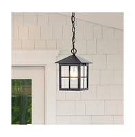 Penryn 7.25" Outdoor Pendant