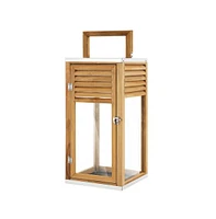 Alenna 21.25" Outdoor Lantern