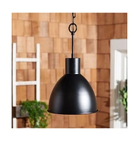 Priestly 9.84" Outdoor Pendant