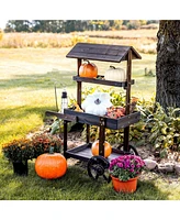 Flower Cart Display Stand with Wheels - Dessert Candy Market 2 Shelves Fir Wood White